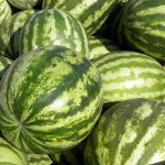 Organic Produce: Watermelon