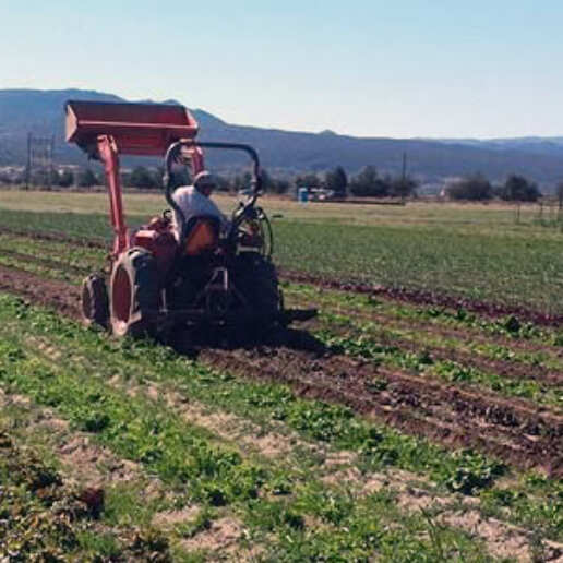 Sage Mountain Farmer in field driving tractor
