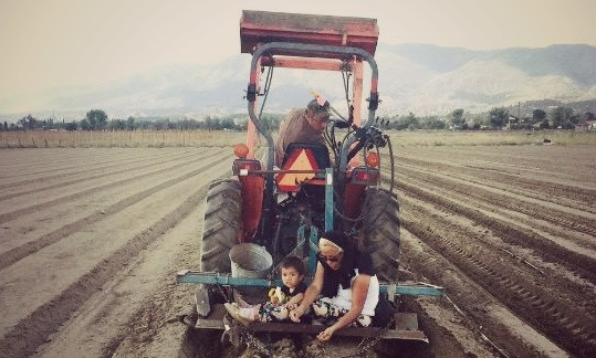 Noble Family Farmers Noble Family Farmers